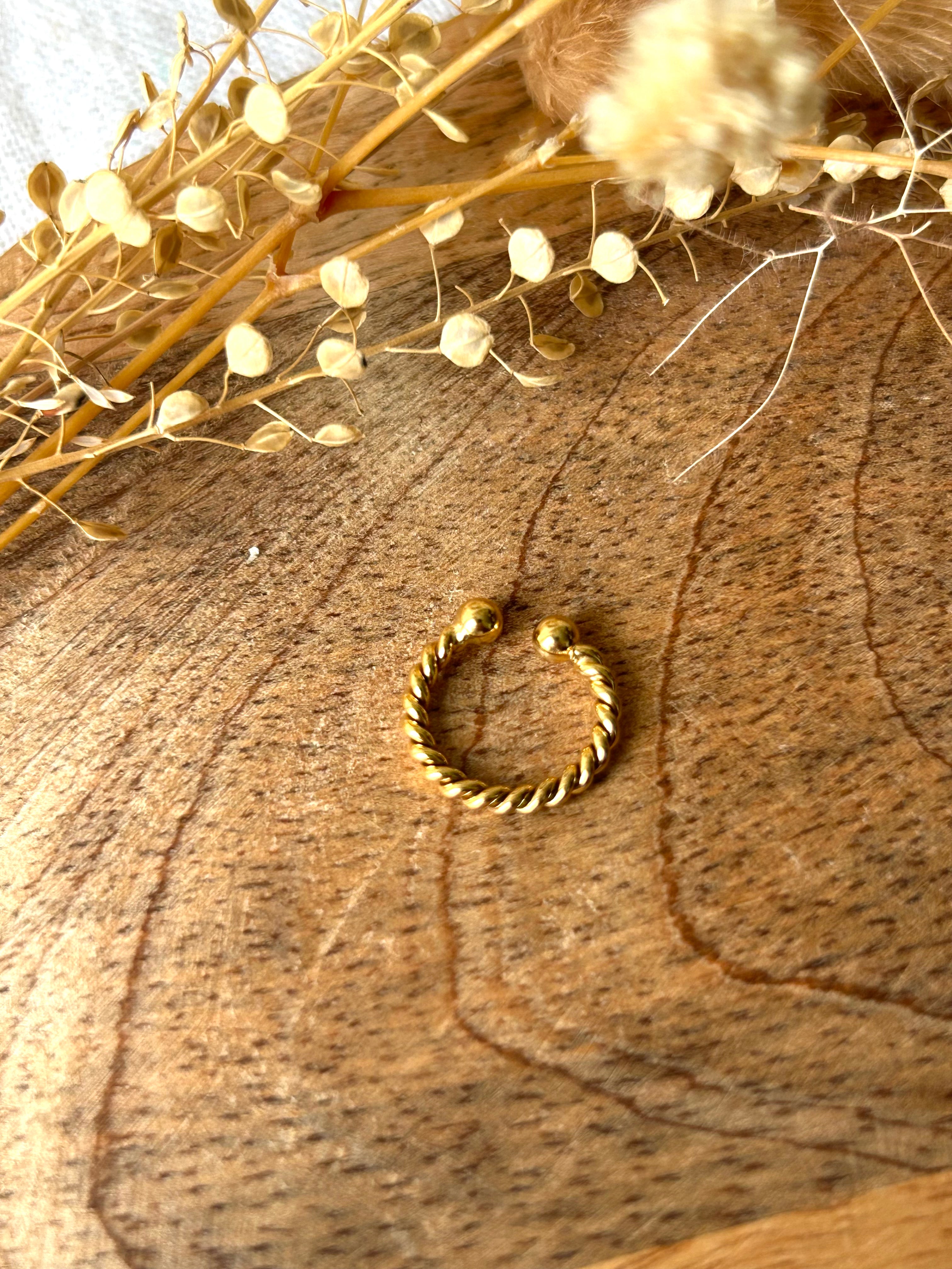 Boucles d'oreilles | BAGUE D'OREILLE