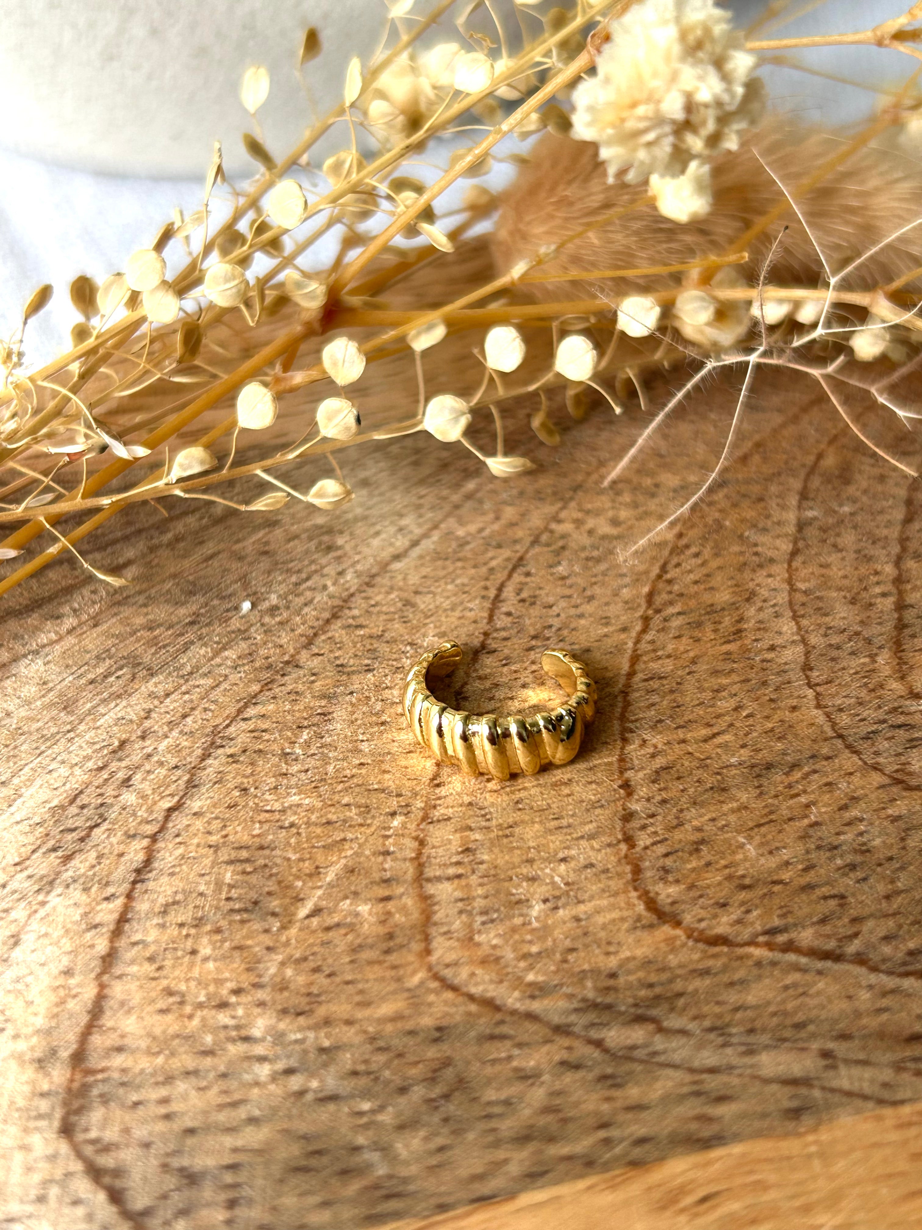 Boucles d'oreilles | BAGUE D'OREILLE